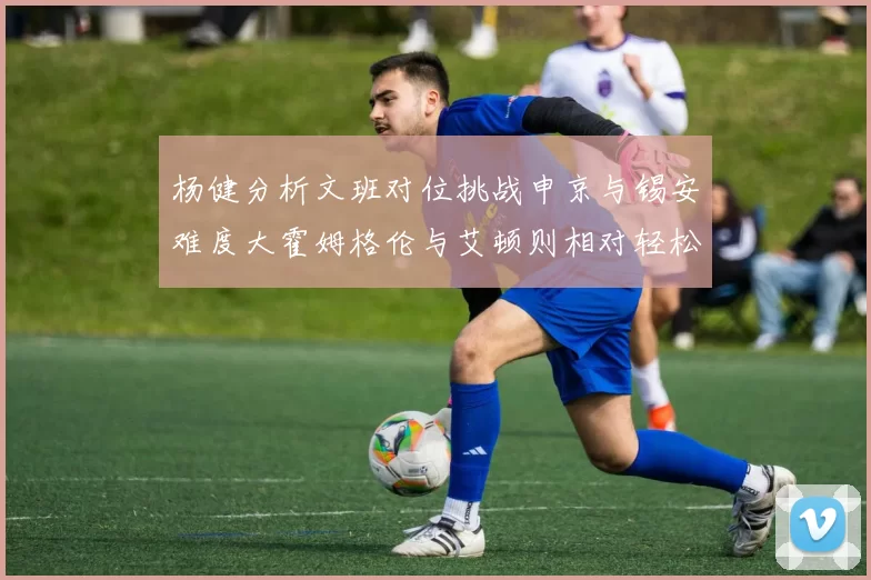杨健分析文班对位挑战申京与锡安难度大霍姆格伦与艾顿则相对轻松
